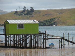 Beach sheds on the Otago Peninsula